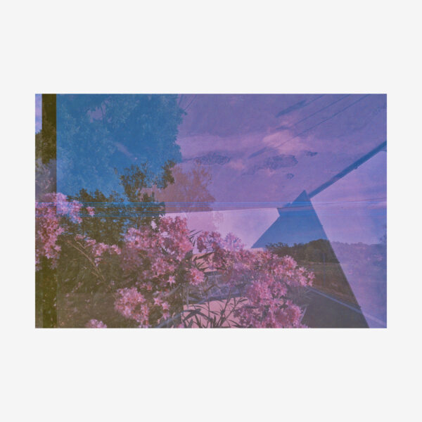 SCENARIO PRIMAVERILE